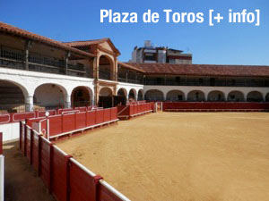 toros_4