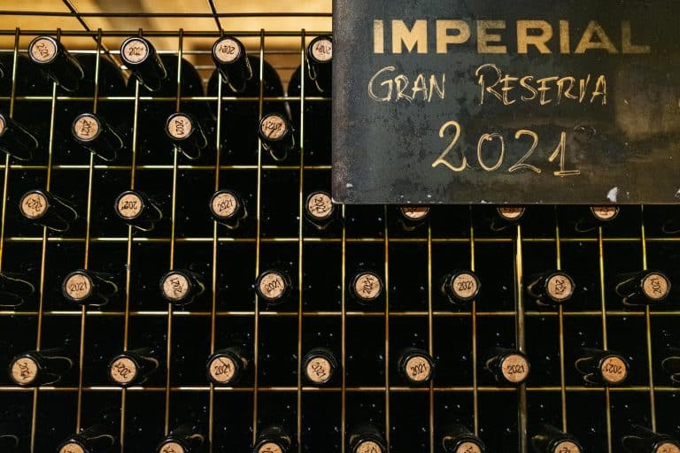 Cata Imperial de CVNE en Haro / Imágenes Javier Rueda